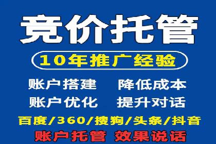 百度推广的投放策略与效果分析