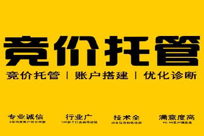 托管竞价sem成功案例：提升品牌曝光度的秘诀
